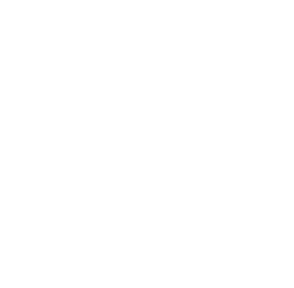 Cops Without Borders